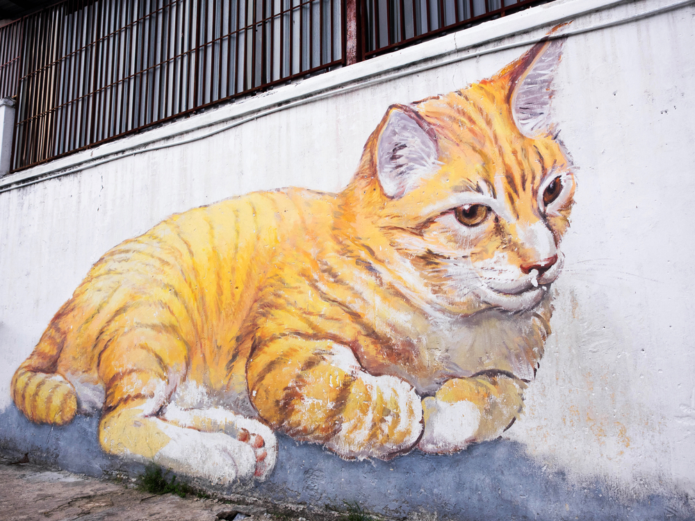 An Anonymous Hero in the UK is Covering Vile, Racist Graffiti With Lovely Cat Photos