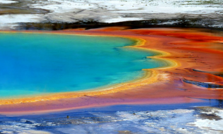 Microbes from Yellowstone’s Hot Springs Make New Meat Substitute