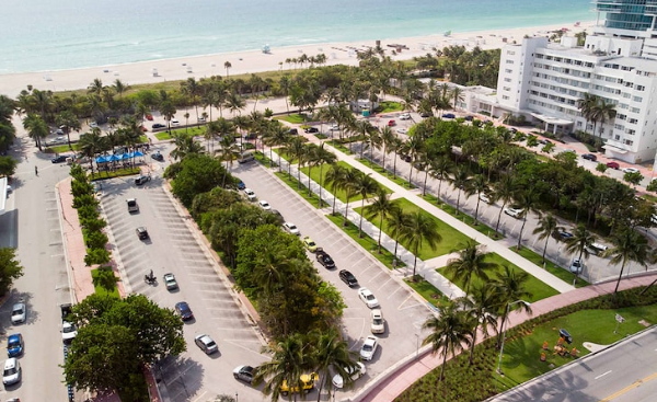 Miami Beach Food Banks Mile-Long Line of Cars Waiting … In Between Luxury Hotels