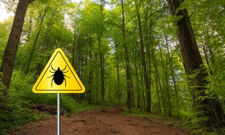 How to Protect Yourself From Tick-Borne Diseases